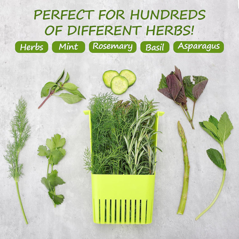 Paquet de 3 conservateurs d'herbes fraîches pour réfrigérateur, économiseur d'herbes transparent sans BPA, contenant de rangement pour coriandre, persil, thym, menthe, asperge, conservateur pour herbes fraîches