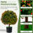 22'' Faux Boxwood Tree in Pot