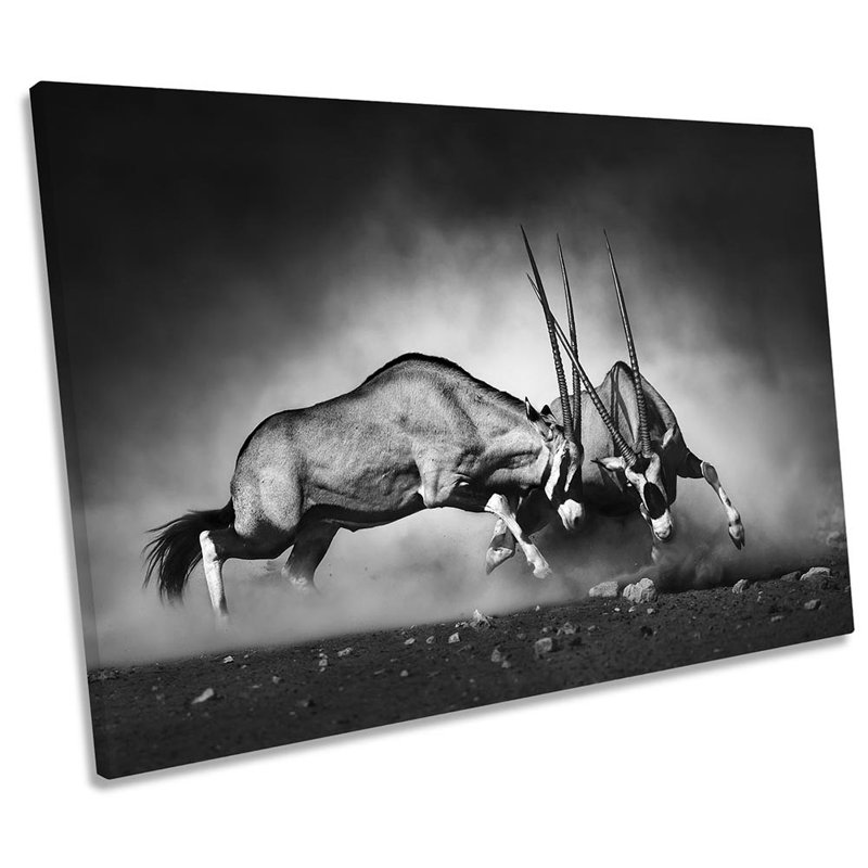 Antelopes Fighting Powerful - Wrapped Canvas Art Prints, 81.3cm H x 121.9cm W