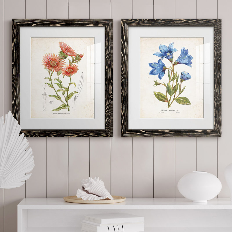 «Botanical I», ensemble de 2 reproductions d'art, Blanc, H 24 po x l 36 po x P 1,5 po, H 31,5 po x l 47 po x P 1,5 po