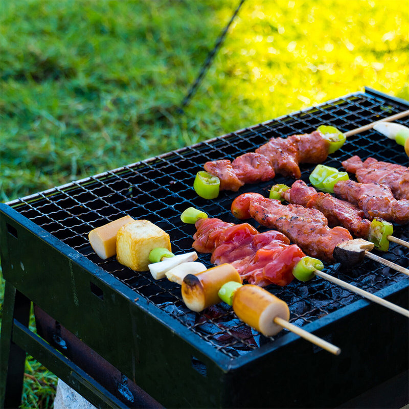 Galvanized Iron Non-Stick Grill Rack