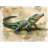 Green Alligator Wildlife Machine Printed Throw Blanket-97690629