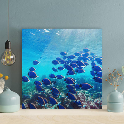 " School Of Fish In Water 11 " Painting Print