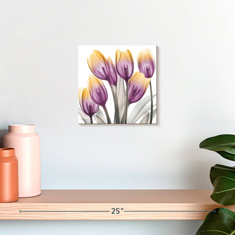 Harnek Sunrise Tulips II, H 10 po x l 10 po