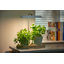 Tico Adjustable Wood USB Novelty Lamp