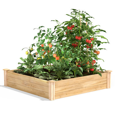 Katsuyoshi Wood Raised Garden Bed