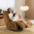 Single Sofa Living Room Multi-Functional Recliner-523441789