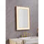 Miroir mural de salle de bain à DEL avec antibuée et éclairage réglable