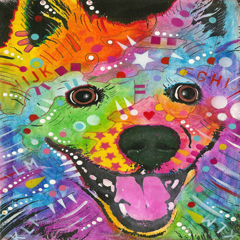 Ensemble de housse de couette en microfibre DiaNoche par Dean Russo - American Eskimo Dog 1