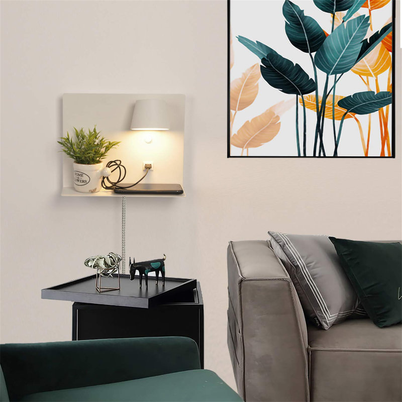 Amadita Spotlight