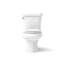 Wellworth® 1.6 GPF Round Two-Piece Toilet (Seat Not Included)-11893053