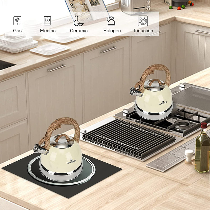 Bouilloire pour cuisinière