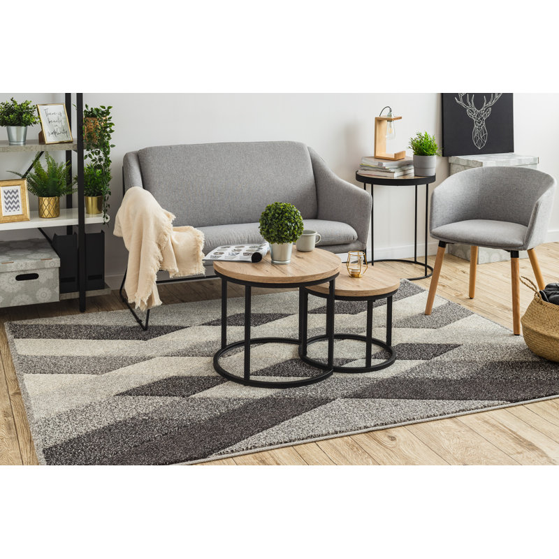 Carrero Geometrisch Area Rug, Rectangular 80 x 150cm