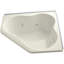 Proflex 54" x 54" Corner Whirlpool Bathtub-452311390-482429177