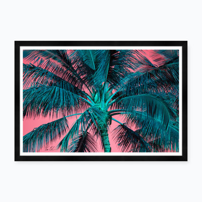 Tropical Palm In Pink & Blue Print
