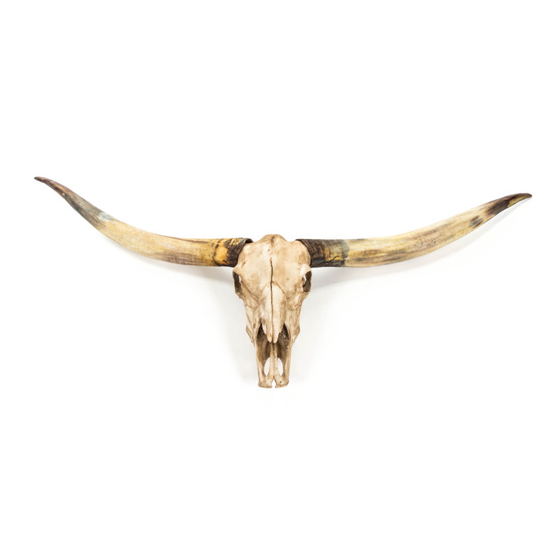 Bull Skull Handmade Resin Wall Decor