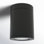 Brissia Cylinder Outdoor Flush Mount