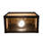 Youngblood Wall Light