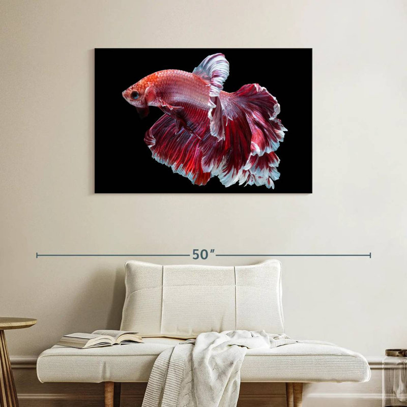 Red And White Betta Fish, 26" H x 39" W