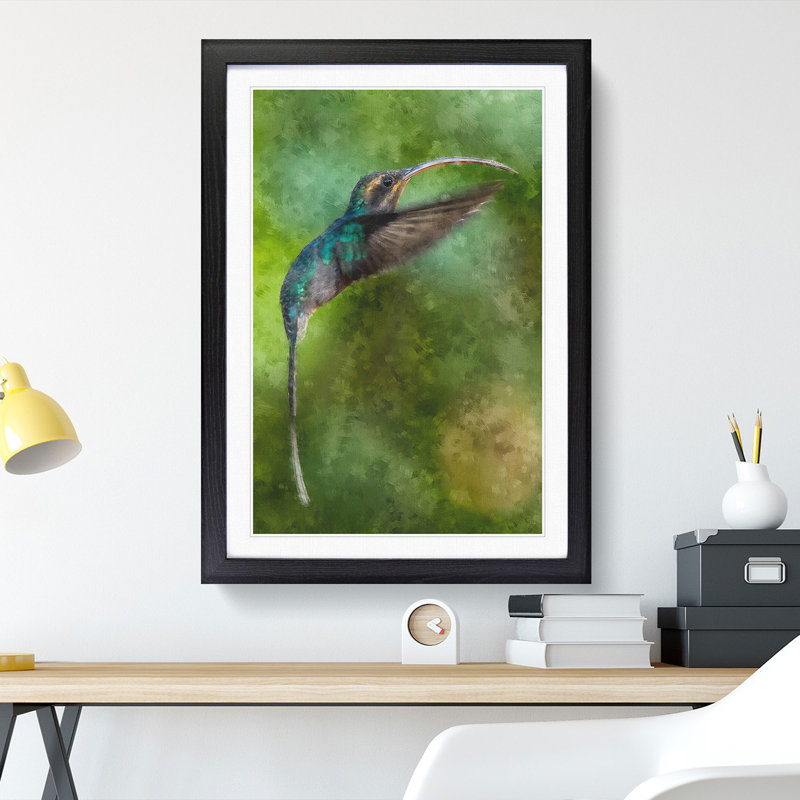 Green Hermit Hummingbird - Picture Frame Painting Print, Black Framed, 63cm H x 45cm W x 2cm D