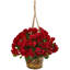 Geranium panier suspendu résistant aux rayons UV