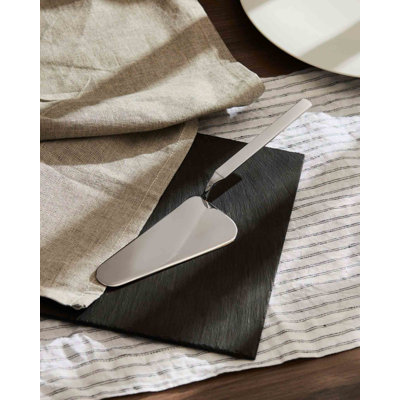 Dry Stainless Steel Cake Server