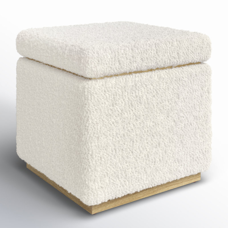 Repose-pieds avec rangement Atreju, Brun, 100 % polyester brun clair