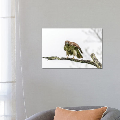 Intense by David Gardiner - Print on Canvas
