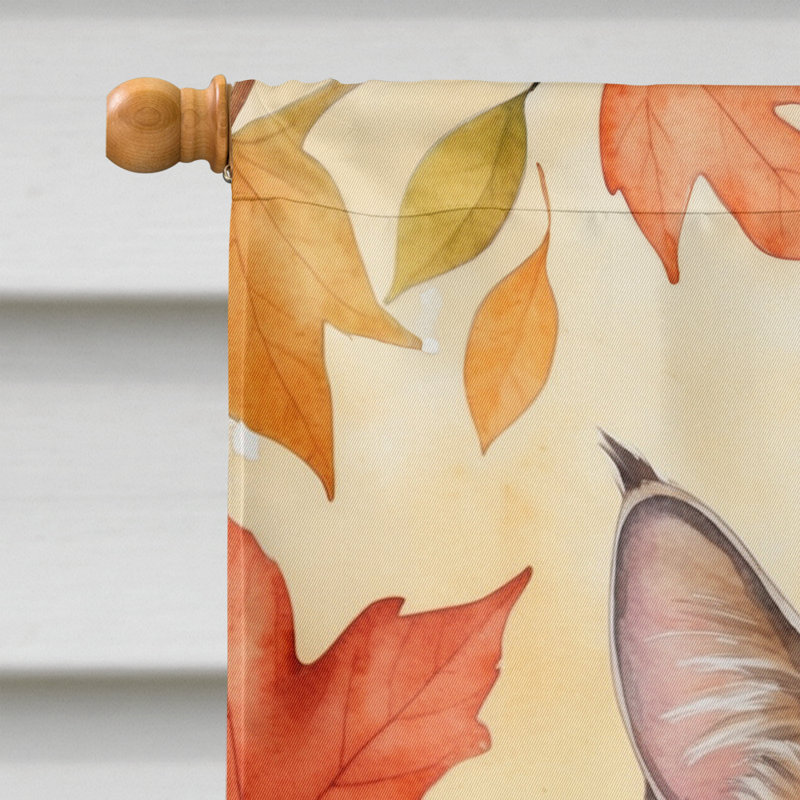 Chat en feuilles d'automne, Dwelf