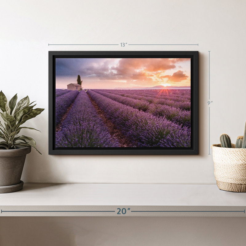 Lavande sur toile, impression sur toile, H 9 po x l 13 po