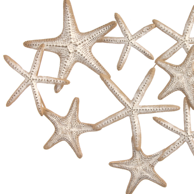 Décoration murale étoile de mer