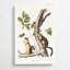 Douglass's Squirrels by Kawanabe Kyosai - Wrapped Canvas Painting-55342573