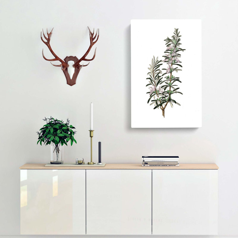 Rosemary Illustration - Wrapped Canvas Print, 50cm H x 35cm W x 3cm D