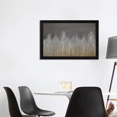Silver Forest by Assaf Frank - Print on Canvas