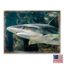Bloc de bois shark Zindanlari-482594384