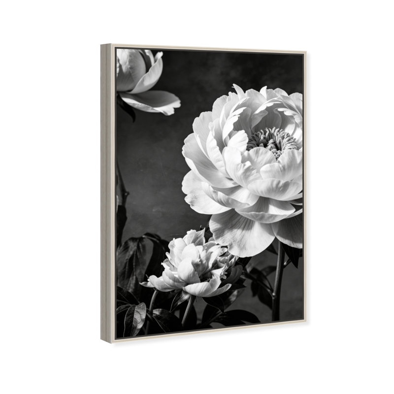 Still Peony Print by Oliver Gal, 31" H x 21" W, Silver Floater Frame