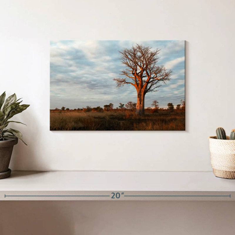 Harnek Zambian Baobab Tree, 8" H x 12" W