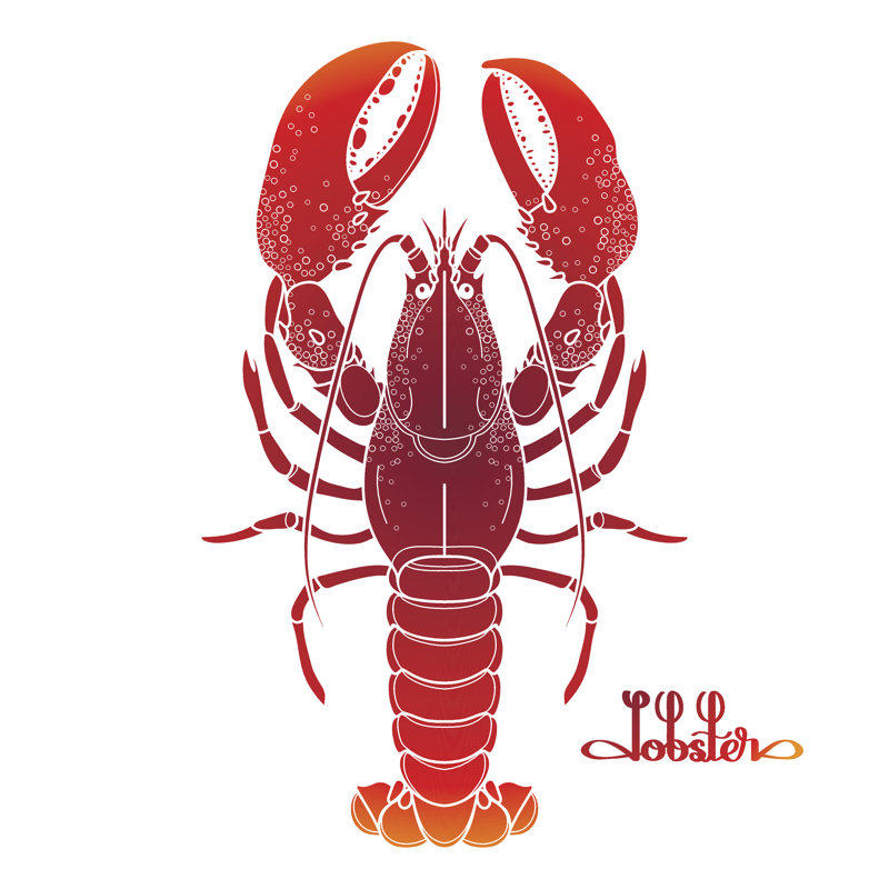 Graphic Vector Lobster - Wrapped Canvas Print, 30cm H x 30cm W x 3.8cm D