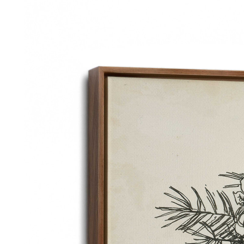 «Christmas Conifers II» par Ethan Harper, reproduction d'art sur toile, H 12 po x l 18 po, Brun