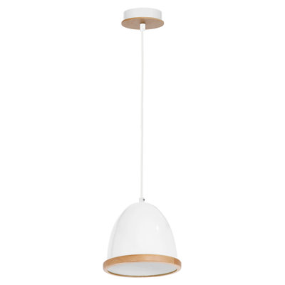 Bridget 1 - Light Dome Pendant
