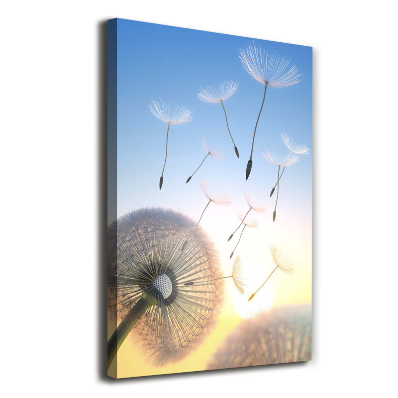 Dandelion - Wrapped Canvas Print