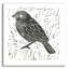 «Bird Element I» par Courtney Prahl, art mural en verre acrylique-1476620967