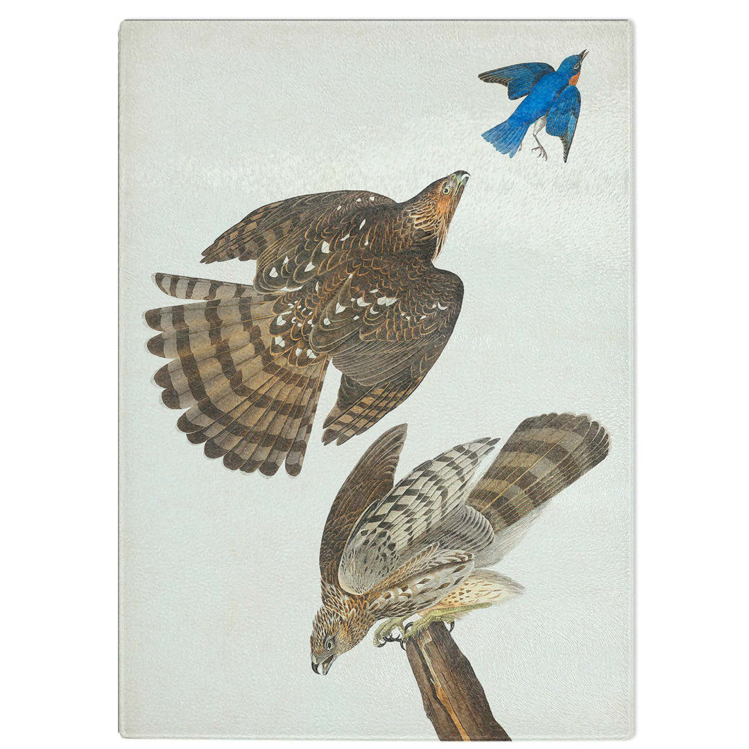 Tempered Glass Stanley Hawks by John James Audubon Chopping Board