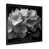 Cadre photo noir