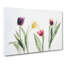 Colourful Tulip Flowers Painting - Wrapped Canvas-56656007