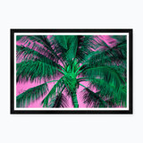 Tropical Palm In Pink & Green Print by Tim Klein