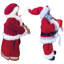 12 "M. et Mme Claus noirs