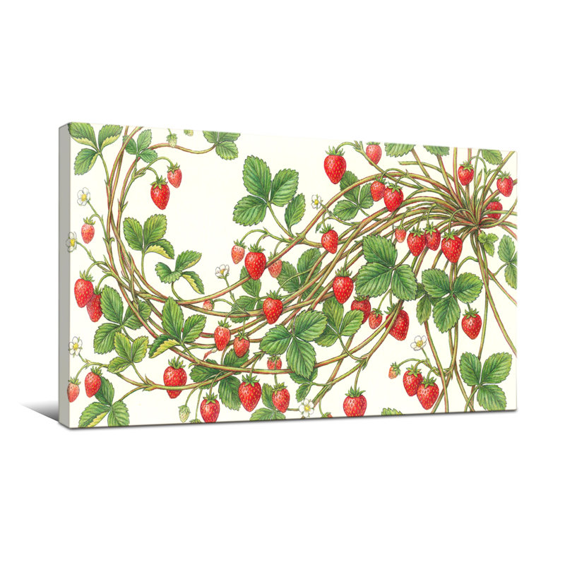 Plantes et fleurs, vignes, fraises, feuilles, baies, H 24 po x l 48 po