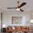 Huybert 48'' Ceiling Fan with LED Lights