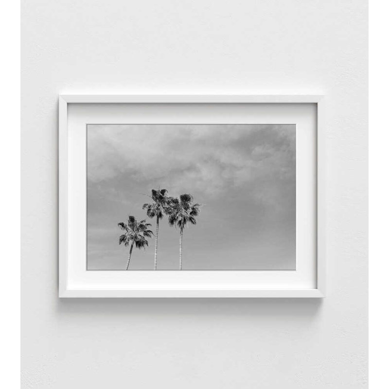 Palmier en trio - photographie côtière en noir et blanc, H 12 po x l 16 po, Blanc, Blanc